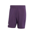 7Inch Ergo Shorts Herren - lila