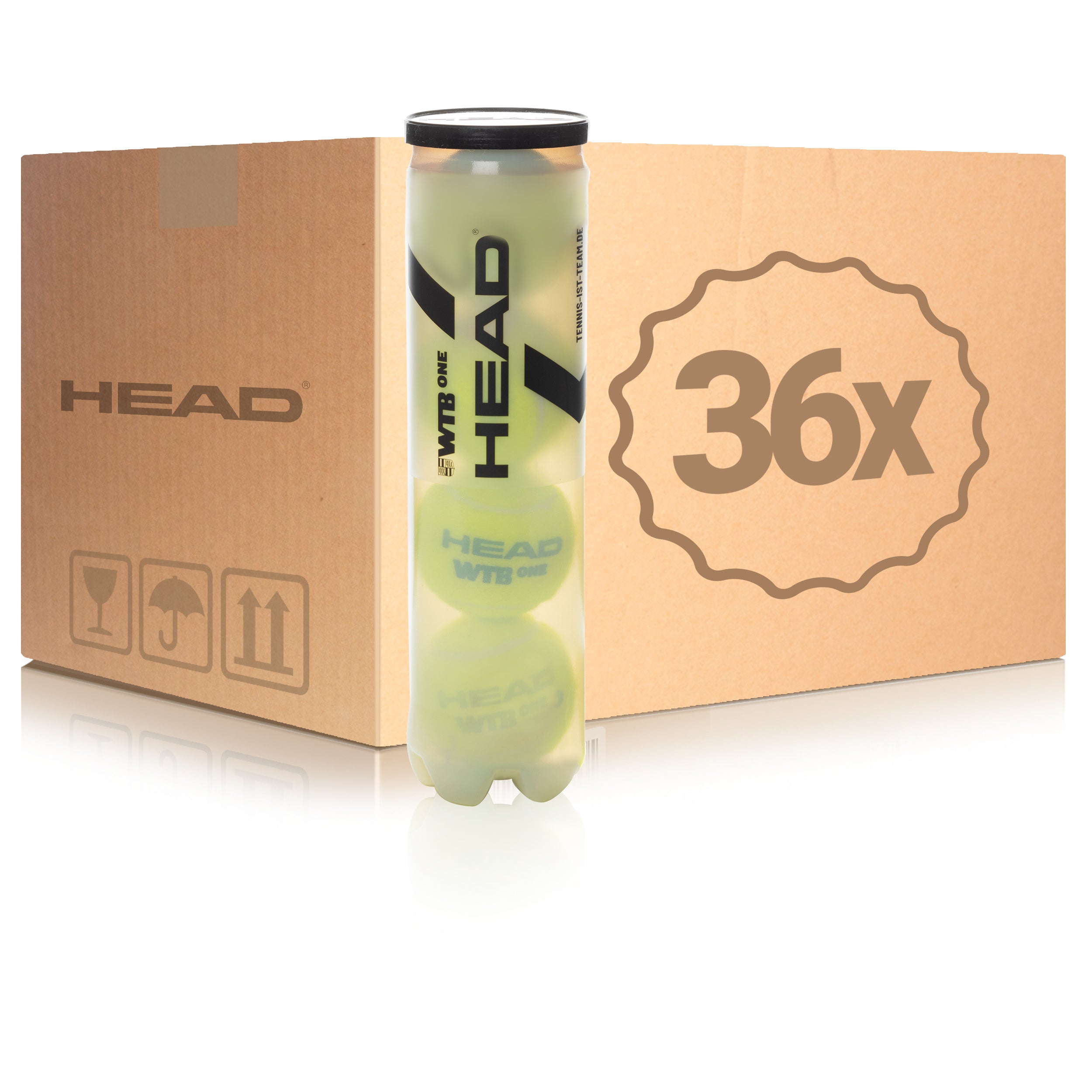 HEAD 36x 4er Dose WTB One im Karton