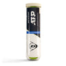 ATP Championship 4er Dose