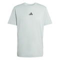 Climacool Identitiy Graphic T-Shirt Herren-salbei