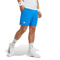 Ergo 9Inch Shorts Herren - blau, weiß
