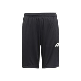 Training Essentials 3 Stripes Shorts