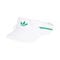 Clima Visor