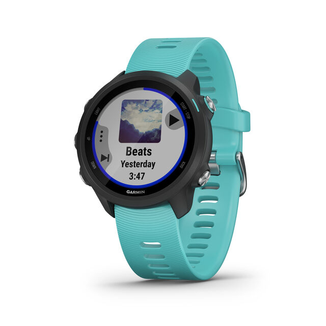 Forerunner 245