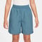 Dri-Fit Shorts