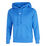PHNX Fleece standard Hoody