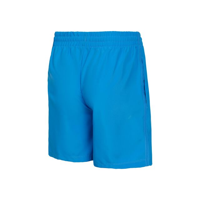 Dri-Fit Shorts