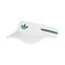 Clima Visor