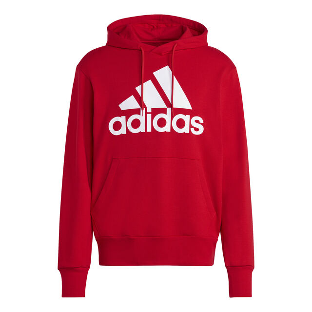 Big Logo French terry Hoody