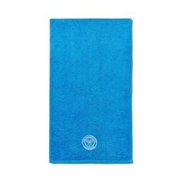Embroidered Guest Towel - Sky