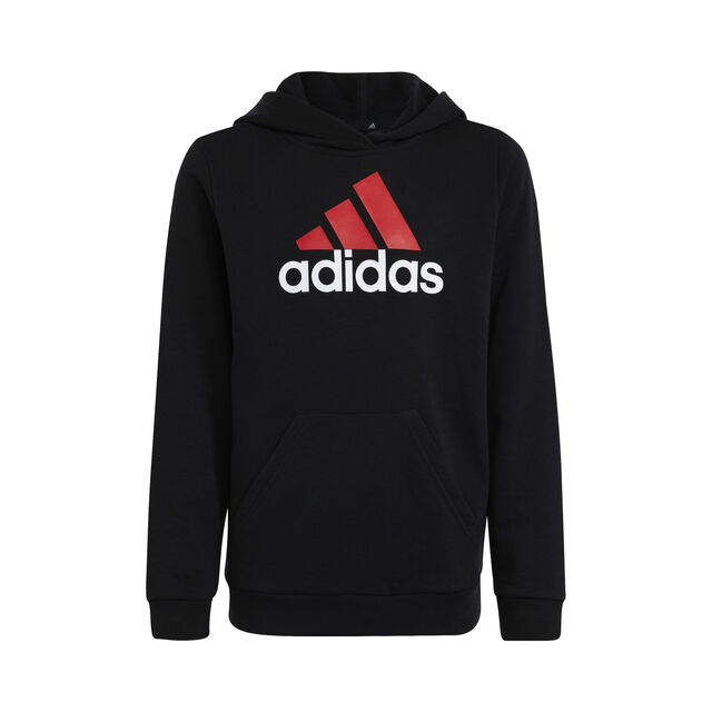 Big Logo 2 Hoody