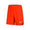 Dri-Fit Slam Shorts