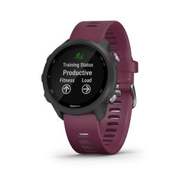 Forerunner 245