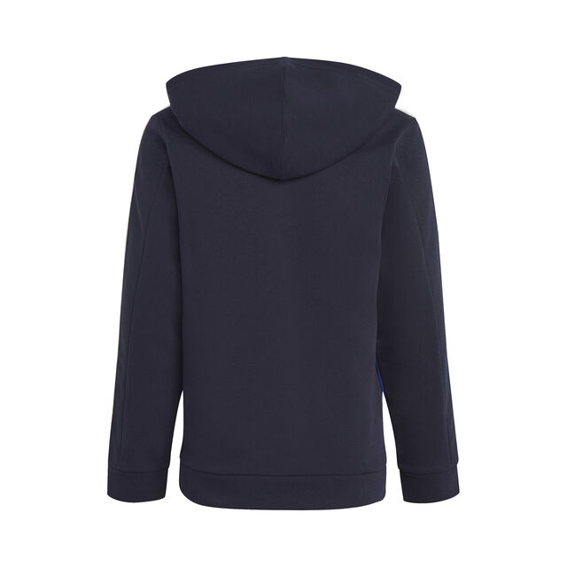 Colorblock 3-Stripes Hoodie