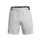 UA Vanish Woven 6in Shorts