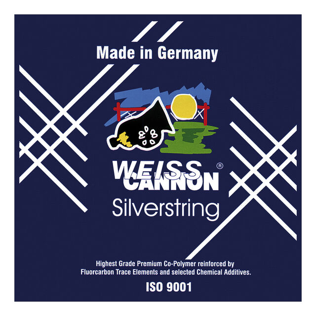 Silverstring 12m silber