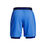Vanish Woven 2in1 Shorts