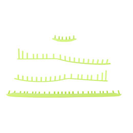 Extreme MP Ösenbandset-Limette