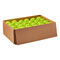 Wilson Pickleball TRU 32 Ball 48er Pack
