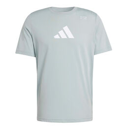 Climacool Category Graphic T-Shirt Herren-salbei