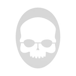 Skull Stencil Logoschablone-Weiß