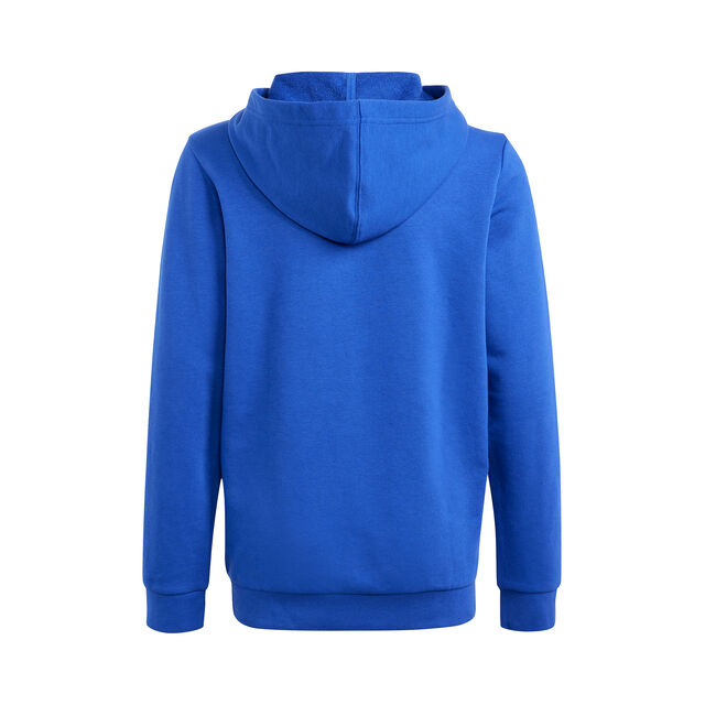 Big Logo 2 Hoody