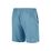 Spectrum 9Inch Shorts