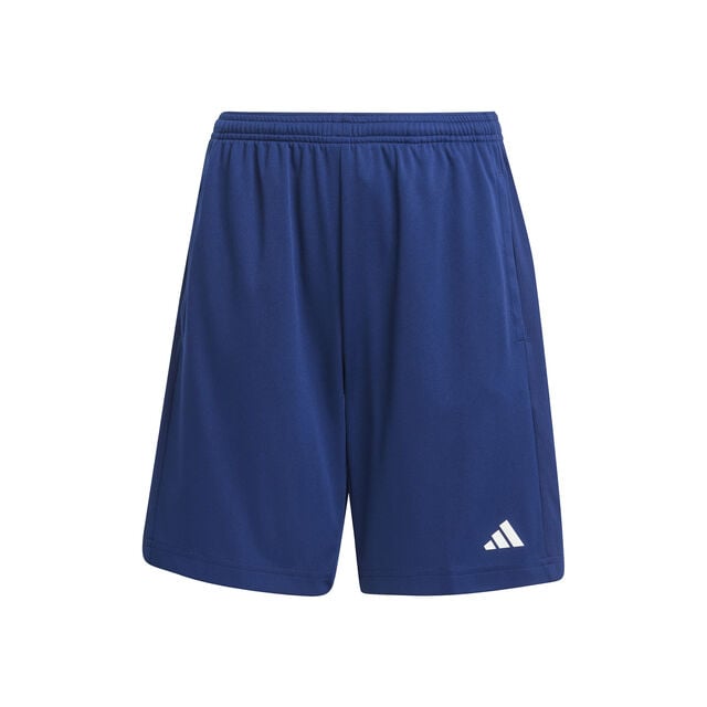 Training Essentials Logo Regular Fit Shorts