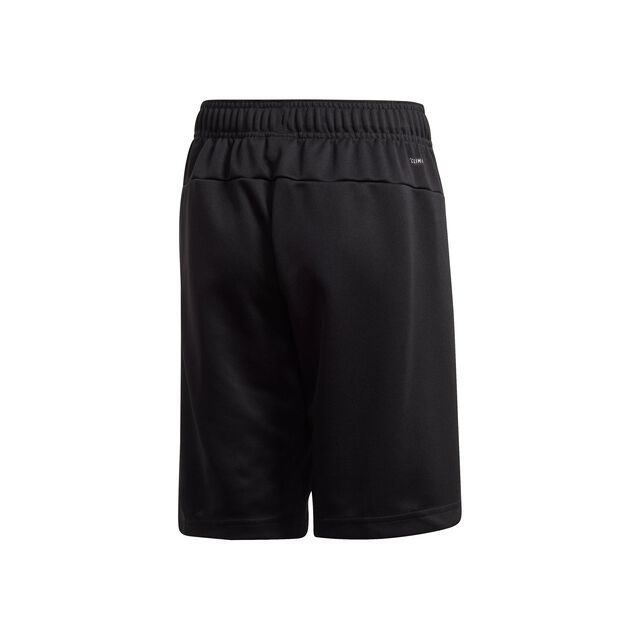 Linear KN Aeroready Shorts