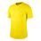 Court Dry Challenger Shortsleeve Top Men