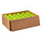 Wilson Pickleball TRU 32 Ball 48er Pack
