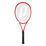 Beast 100 (300g)