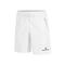 Rob 024 PL Shorts