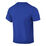 Linear Single Jersey Tee