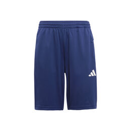 Training Essentials 3 Stripes Shorts