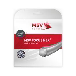 Focus-HEX Saitenset 12m-Silber
