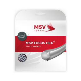 Focus-HEX Saitenset 12m-Silber