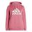 Big Logo FL Plus Hoody