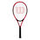 FEDERER ADULT W/O CVR TNS