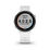 Forerunner 245