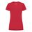 Club Ladies Crew Tee