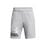 UA Tech Logo Shorts