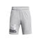 UA Tech Logo Shorts