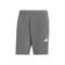 Train Essentials All Set Training Shorts