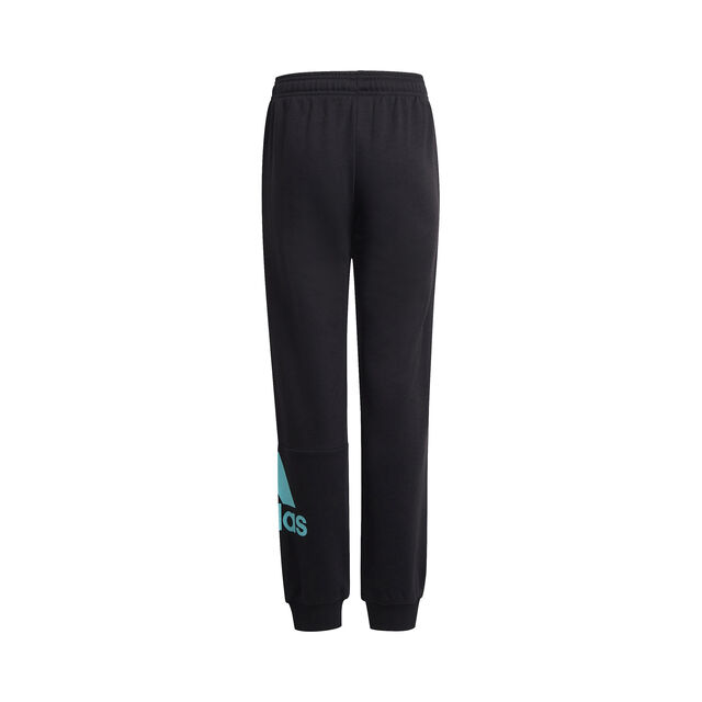 Big Logo French Terry Core Pant