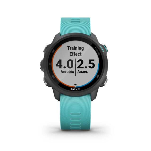 Forerunner 245