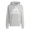 Essentials French Terry Big Logo Hoodie