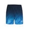 Beach Spirit 7 inch Shorts