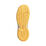 Courtflash AC