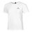 Rush Energy Shortsleeve 2.0